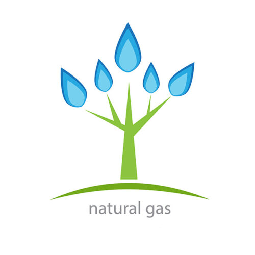 Our Man in Washington: Natural Gas Shortage and Elections
